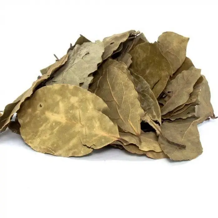 Defne Yaprağı 500 g