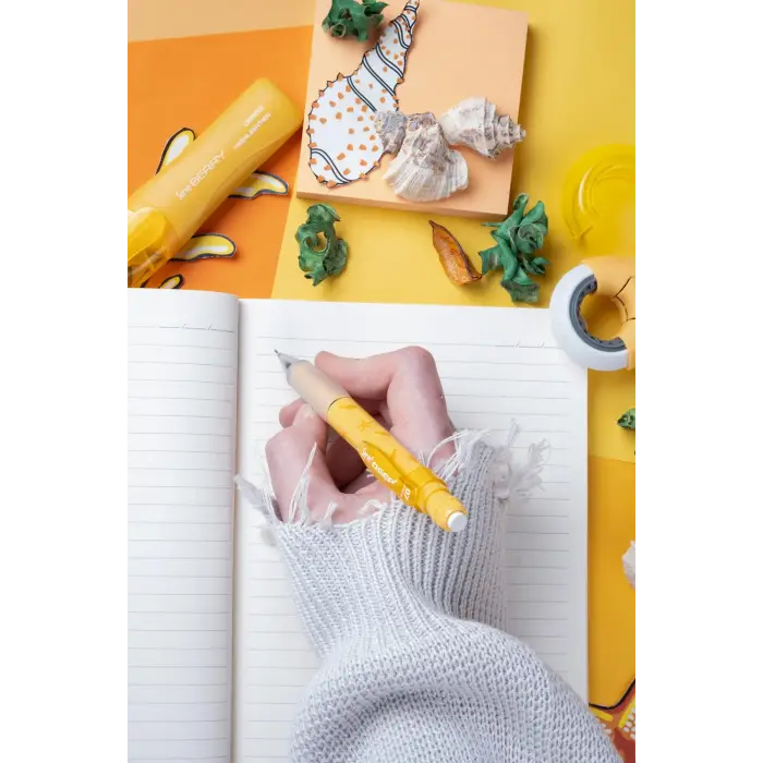 DEFTER SETI - DESENLİ ELMA HARDAL SARISI KUTUDA