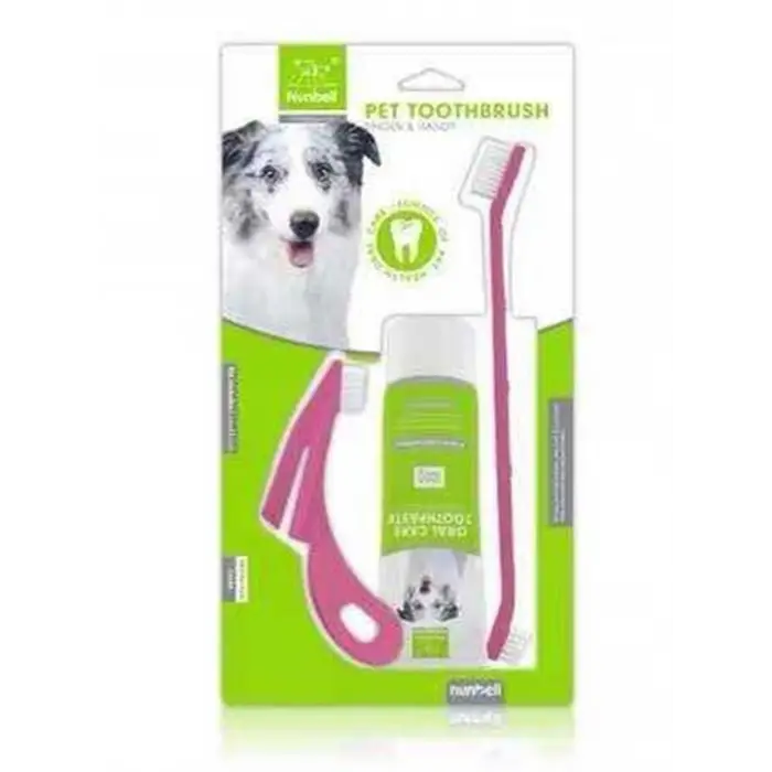 Dental Kit Set