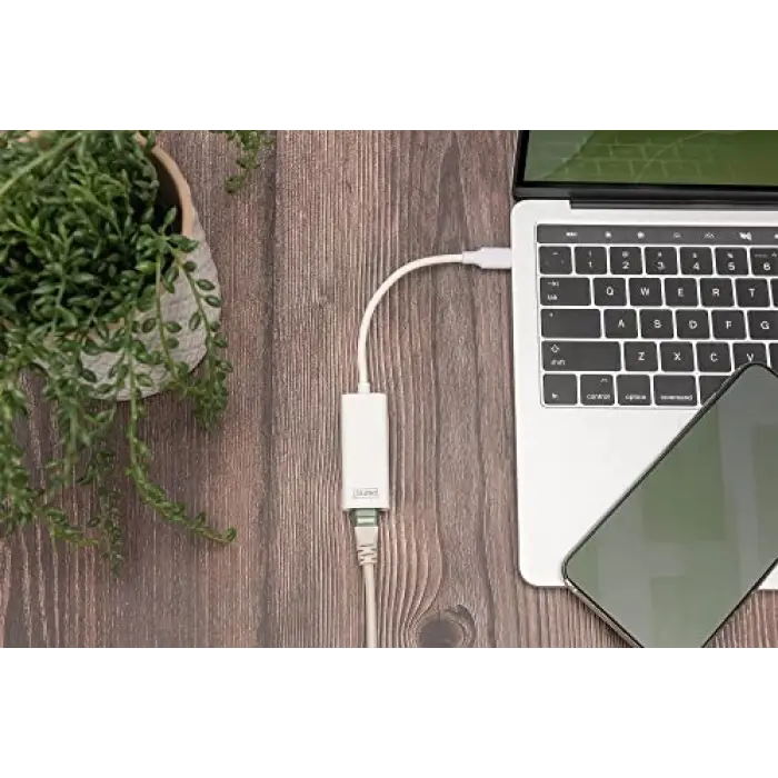 DN-3024 Usb Type-C Gigabit Ethernet Adaptörü