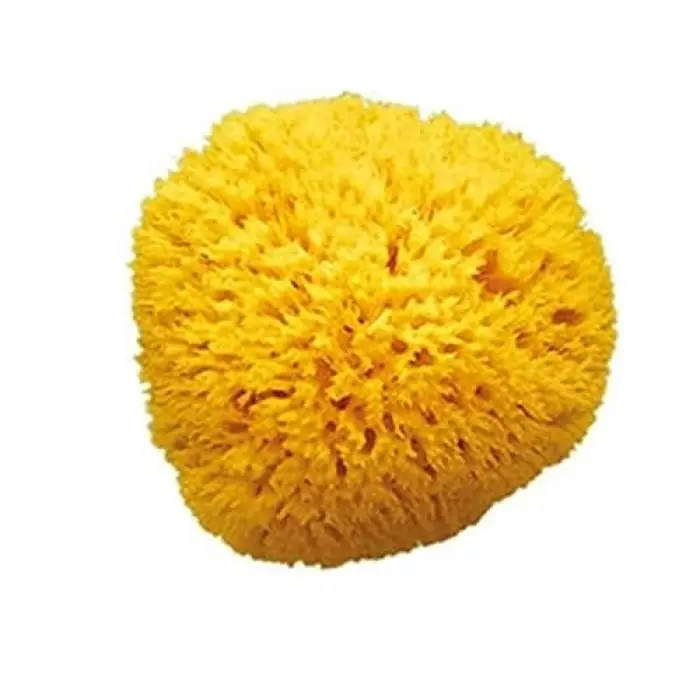 Dogal Banyo Sungeri No.12