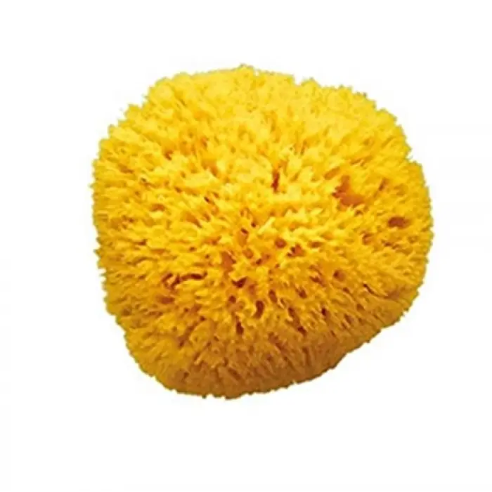 Dogal Banyo Sungeri No.12