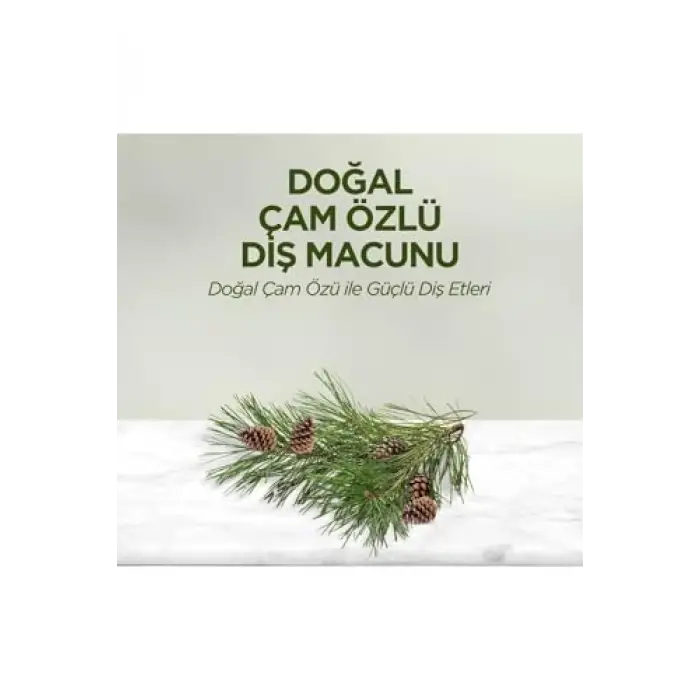 Doğal Çam Özlü Diş Macunu, 90 ml