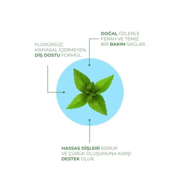Doğal Diş Macunu *Naneli 100 Ml