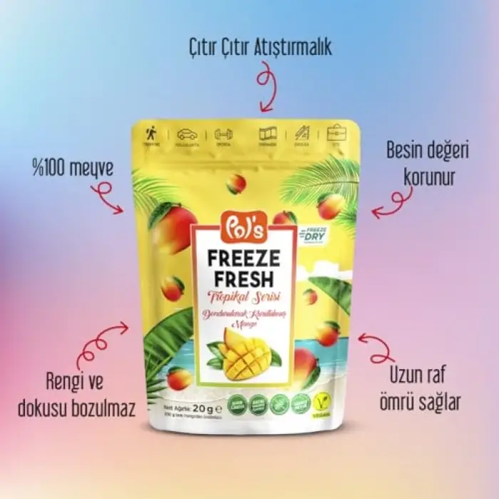 Dondurularak Kurutulmuş Mango 20 g