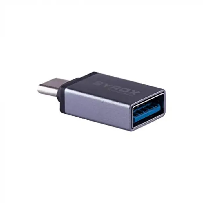 DT13 USB Giriş Type-C Çıkış OTG