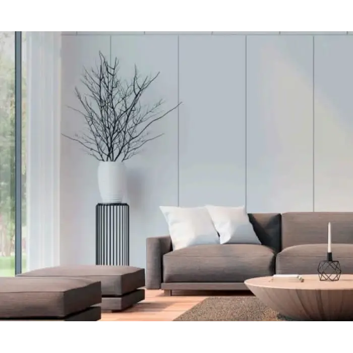 E2 Power Eco Koku Makinesi