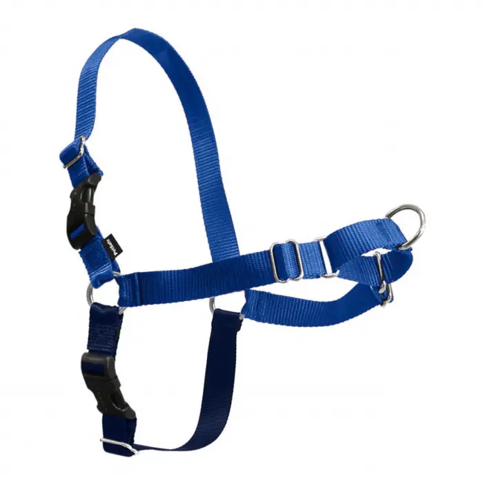 Easy Walk Köpek Koşum Takımı
