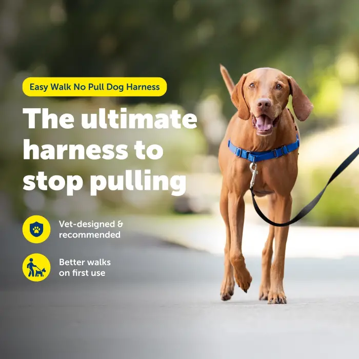 Easy Walk Köpek Koşum Takımı