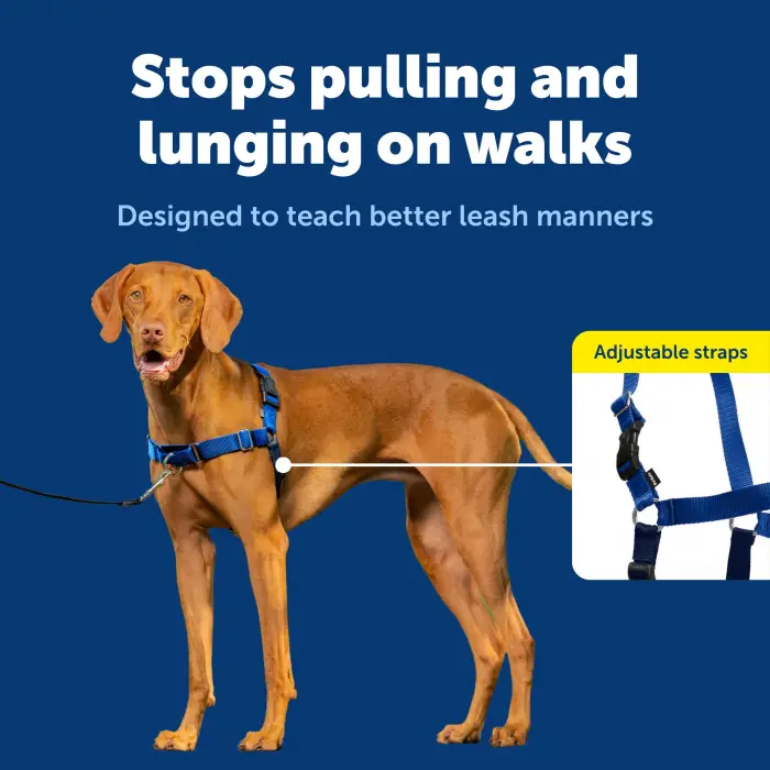Easy Walk Köpek Koşum Takımı