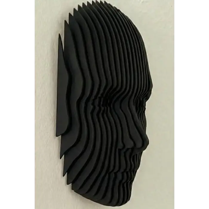 Echo parametrik yüz tasarımı, 3D katmanlı modern duvar heykeli
