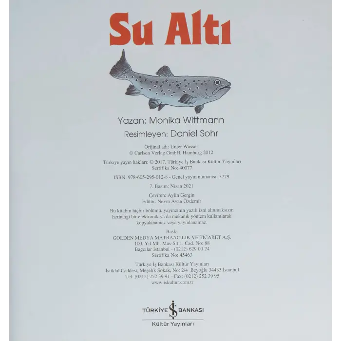 Eğlenceli Bilim: Su Altı