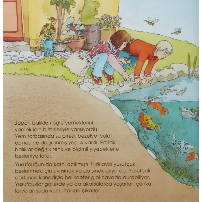 Eğlenceli Bilim: Su Altı