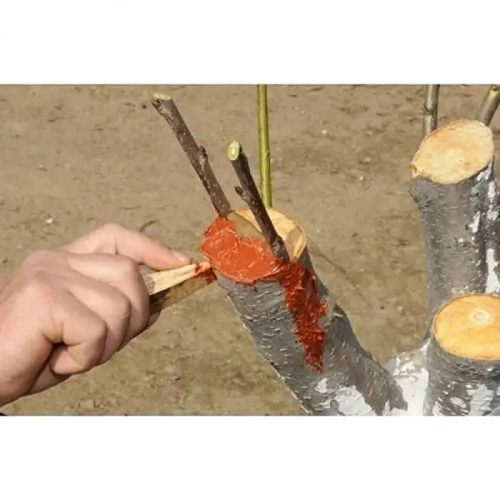 Eks Aşı ve Budama Macunu 1 Kg