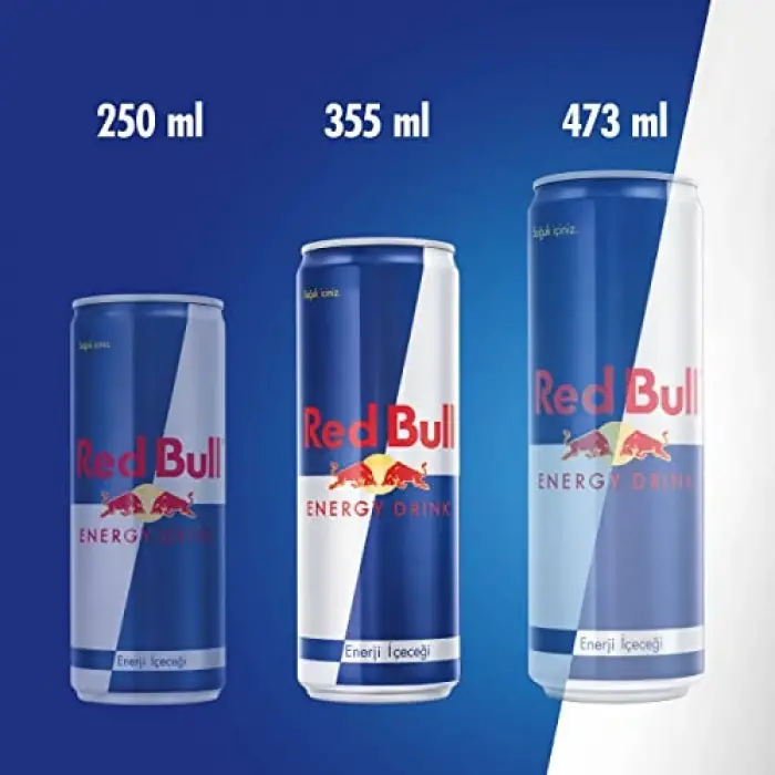 Enerji İçeceği 355 ml