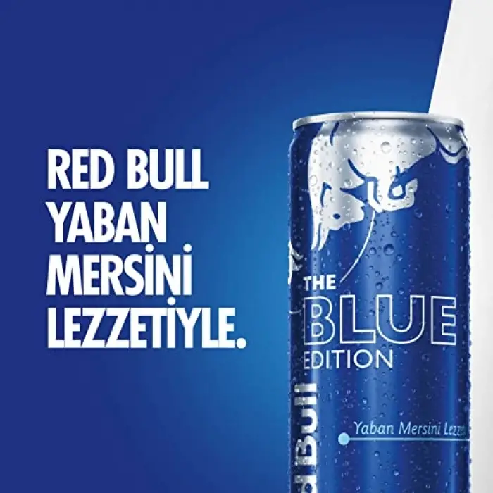Enerji İçeceği, Yaban Mersini, 250 ml