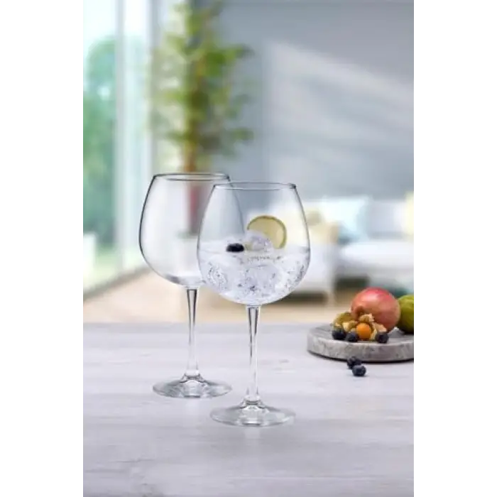 Enoteca 665 Cc 2li Meşrubat Bardağı