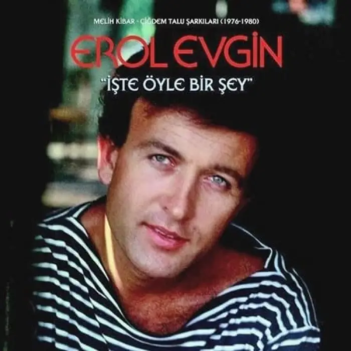 Erol Evgin İşte Öyle Bir Şey - Plak