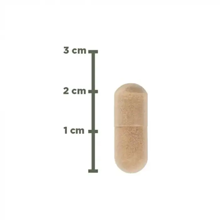 Ester-C 500 Mg C Vitamini 60 Kapsül
