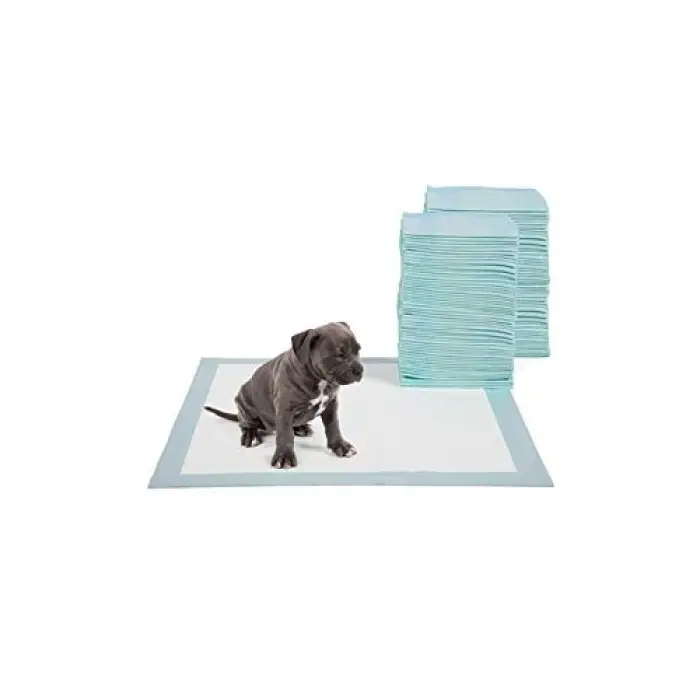 Evcil Hayvan Köpek Çiş Alıştırma Pedi 30 Adet