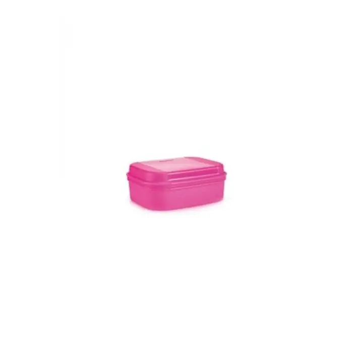 F20 Pembe Saklama Kabı