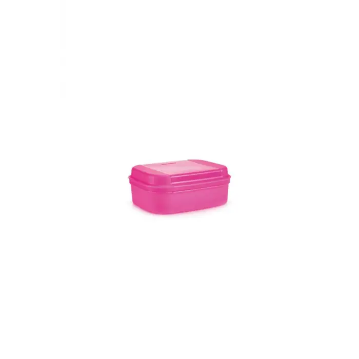 F20 Pembe Saklama Kabı