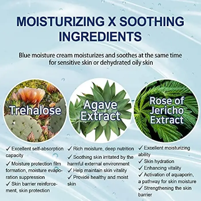 Facial Aqua Moisturizer Nemlendirici Krem 125 Ml