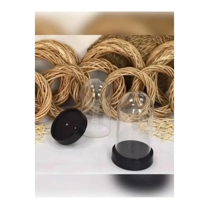 Fanus Ters Mika Tabanlı Siyah Plastik Şeffaf Teraryum