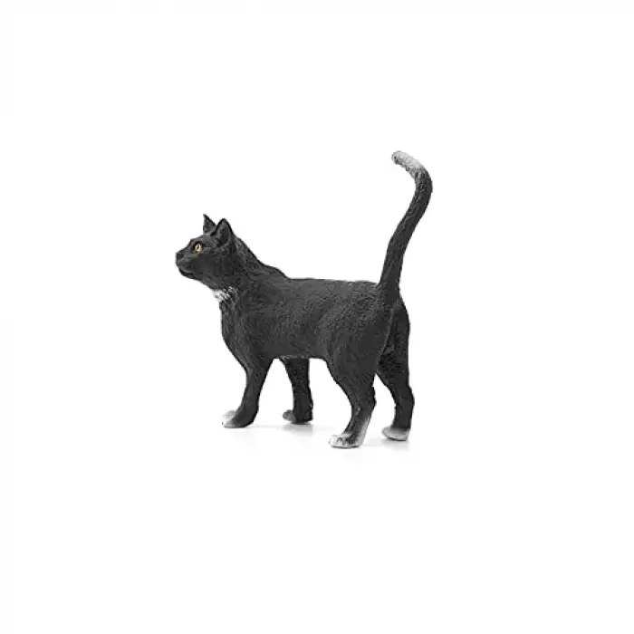 Farm World-Ayakta Kedi