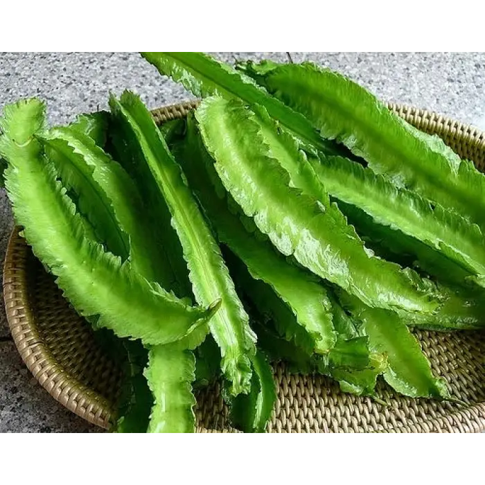 Fasulye Tohumu, Kanatlı