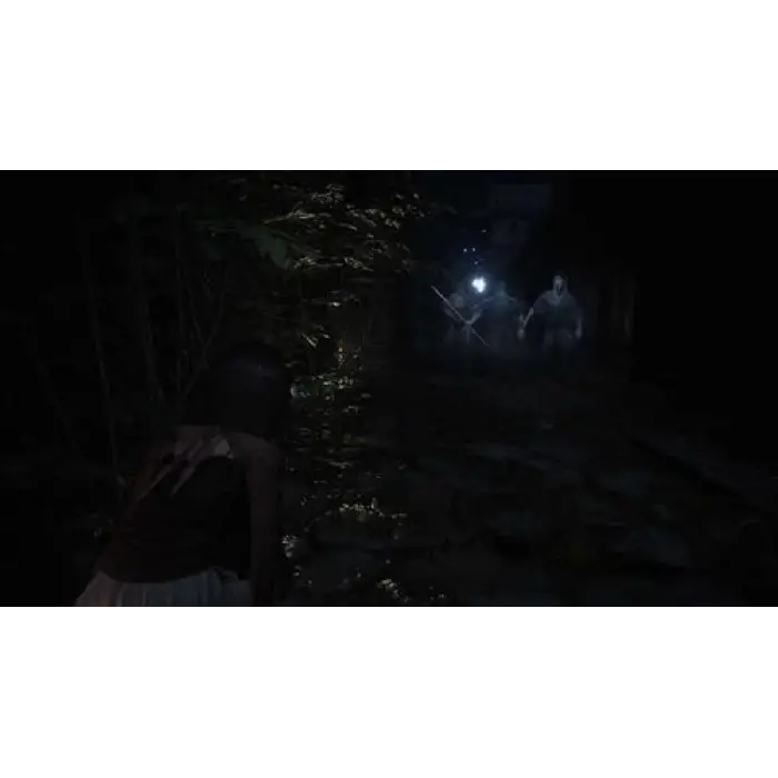 Fatal Frame II: Crimson Butterfly Remake, Nintendo Switch 2
