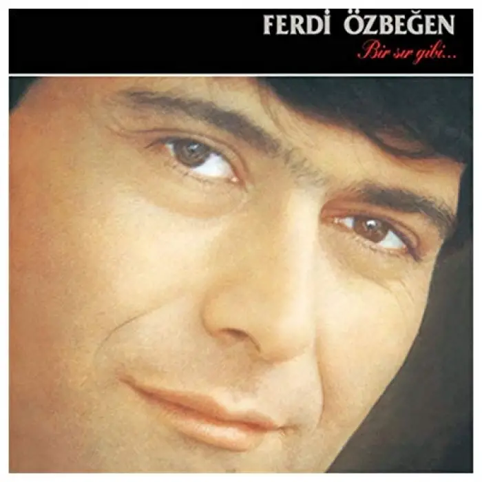 Ferdi Özbeğen Bir Sır Gibi LP Plak