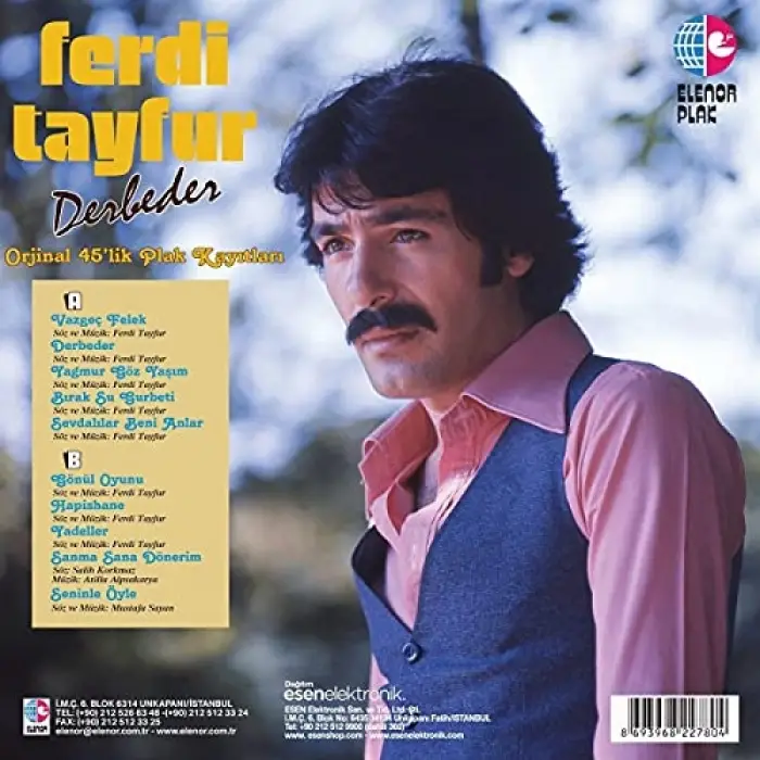 Ferdi Tayfur Derbeder Plak
