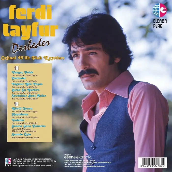 Ferdi Tayfur Derbeder Plak