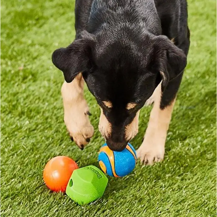 Fetch Medley 3lü M Köpek Oyun Topu Seti