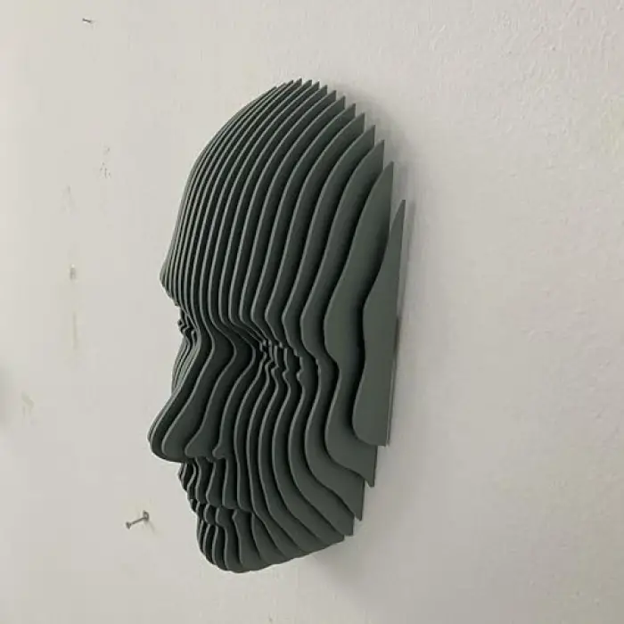 FlatForm Echo Parametrik Yüz Duvar Dekoru – 3D Katmanlı Modern Duvar Heykeli