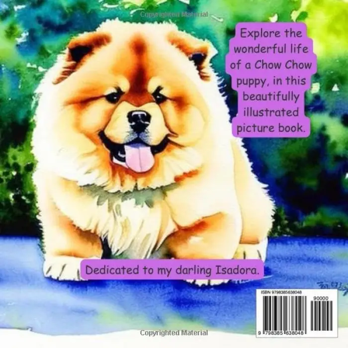 Fluffy The Chow Chow Puppy