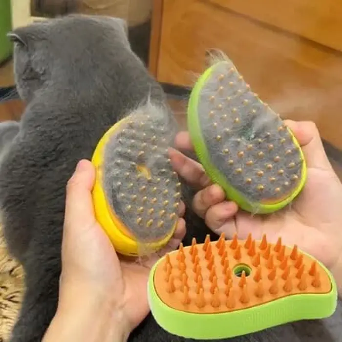 Focal Kedi Tarağı Buharlı