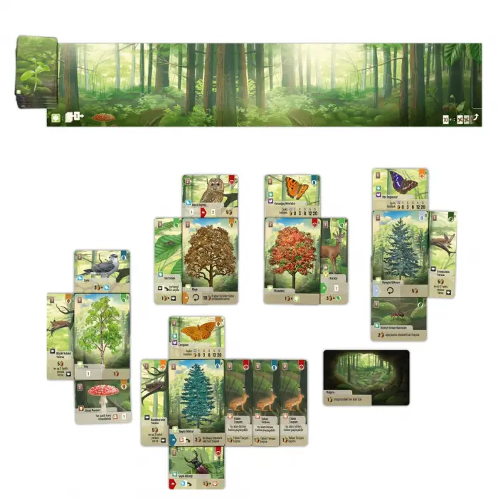 Forest Shuffle - Kutu Oyunu, Türkçe Baskı