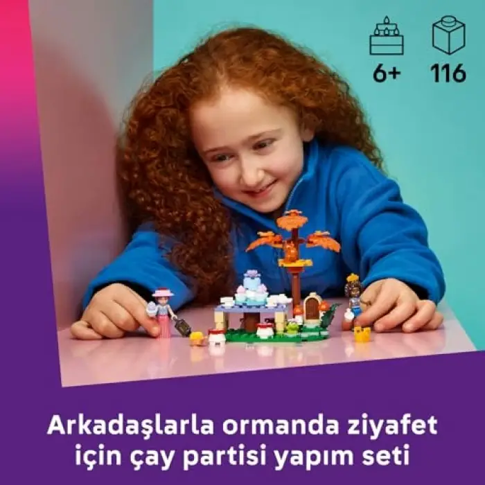 Friends Orman Çay Partisi 42690 Yapım Seti