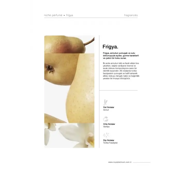 FRIGYA 100 ML NICHE PARFÜM