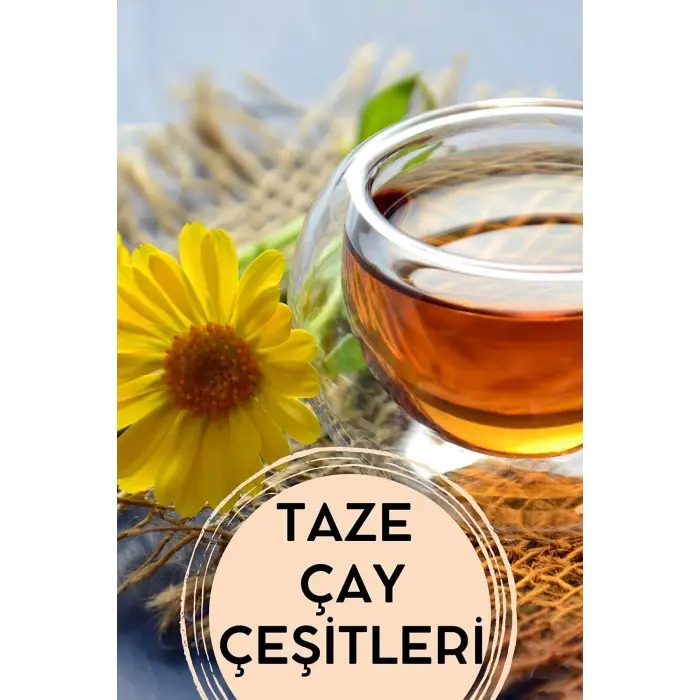 Funda Yaprağı 100 Gr