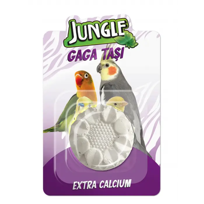 Gaga Taşı