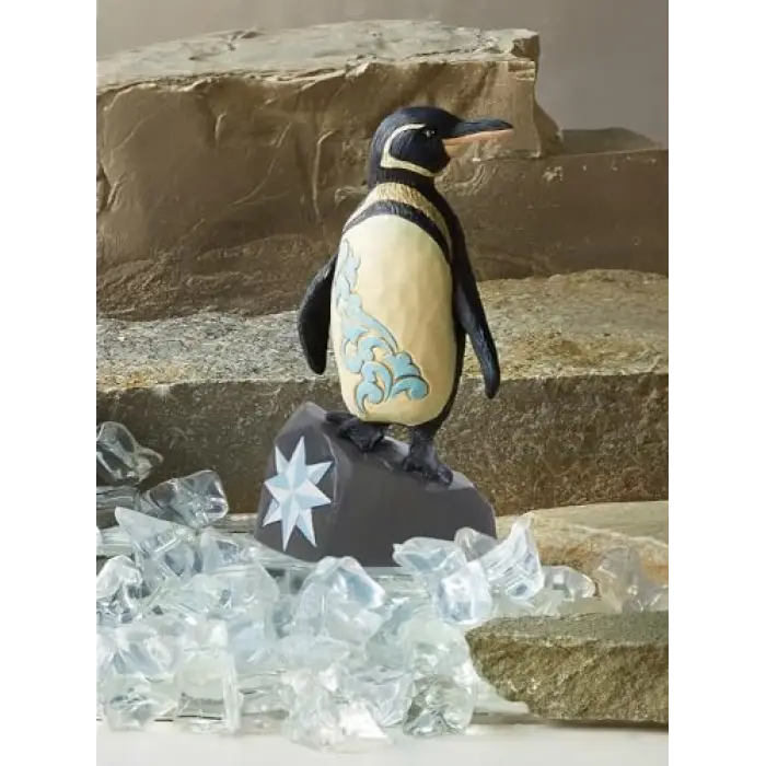 Galapagos Penguen