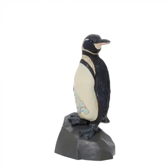 Galapagos Penguen