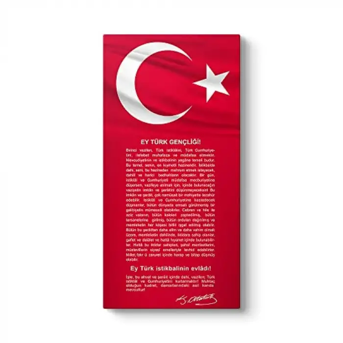 Gençliğe Hitabe Tablosu 80 x 160