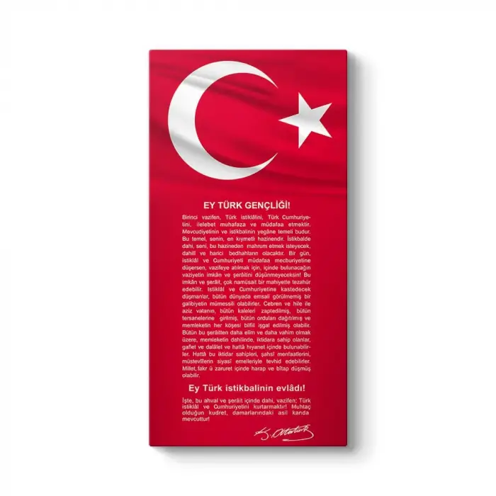 Gençliğe Hitabe Tablosu 80 x 160