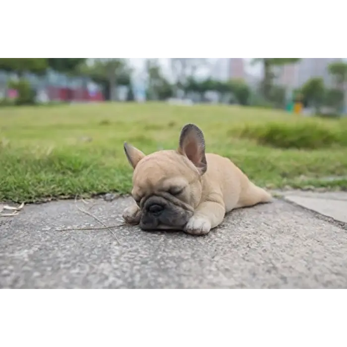 Gift Ltd. Uyuyan Pug Yavru Köpek