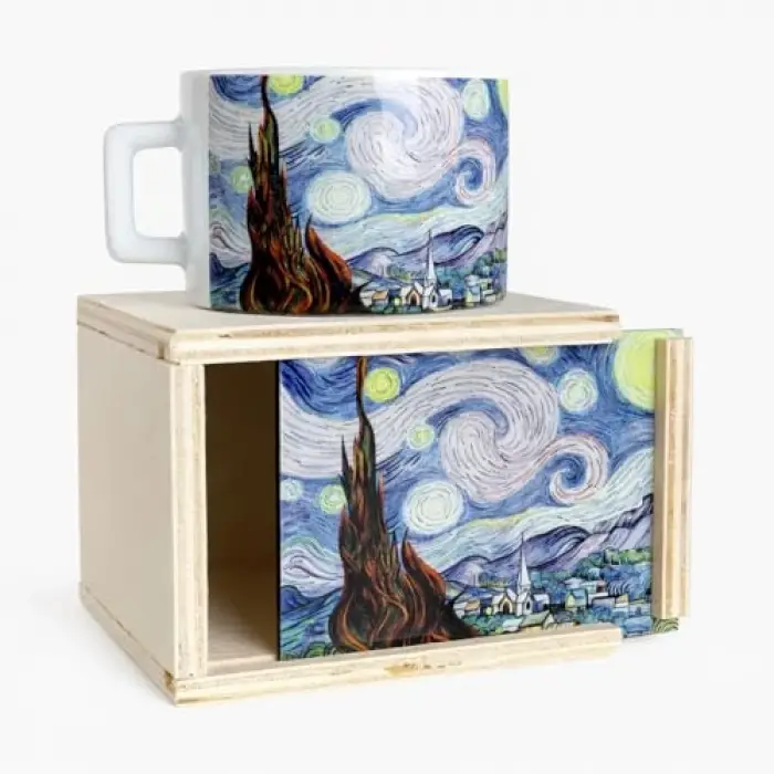 giftmoda Yıldızlı Gece Kutulu Kupa
