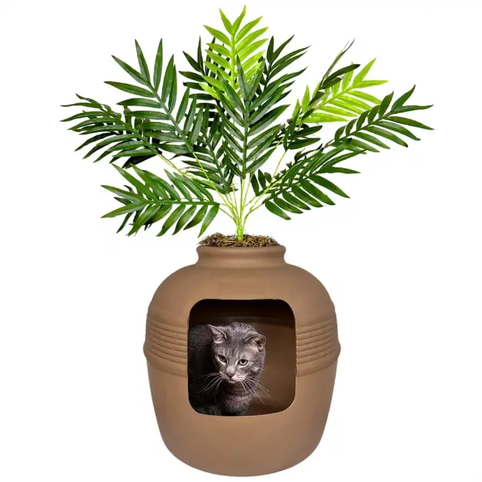 Gizli kedi tuvaleti